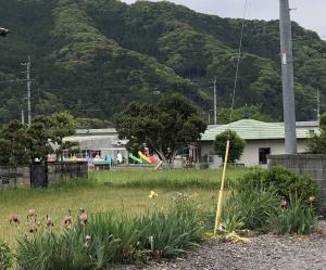 元気に泳いでいます